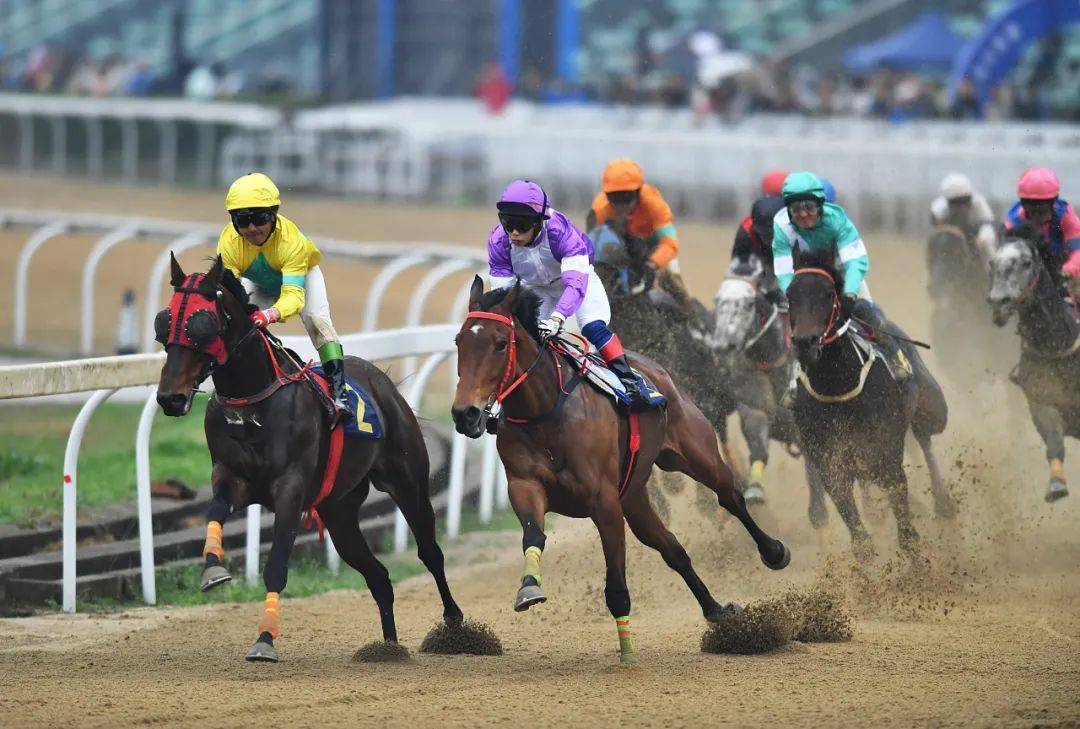 Áreas populares e benefícios das corridas de cavalos